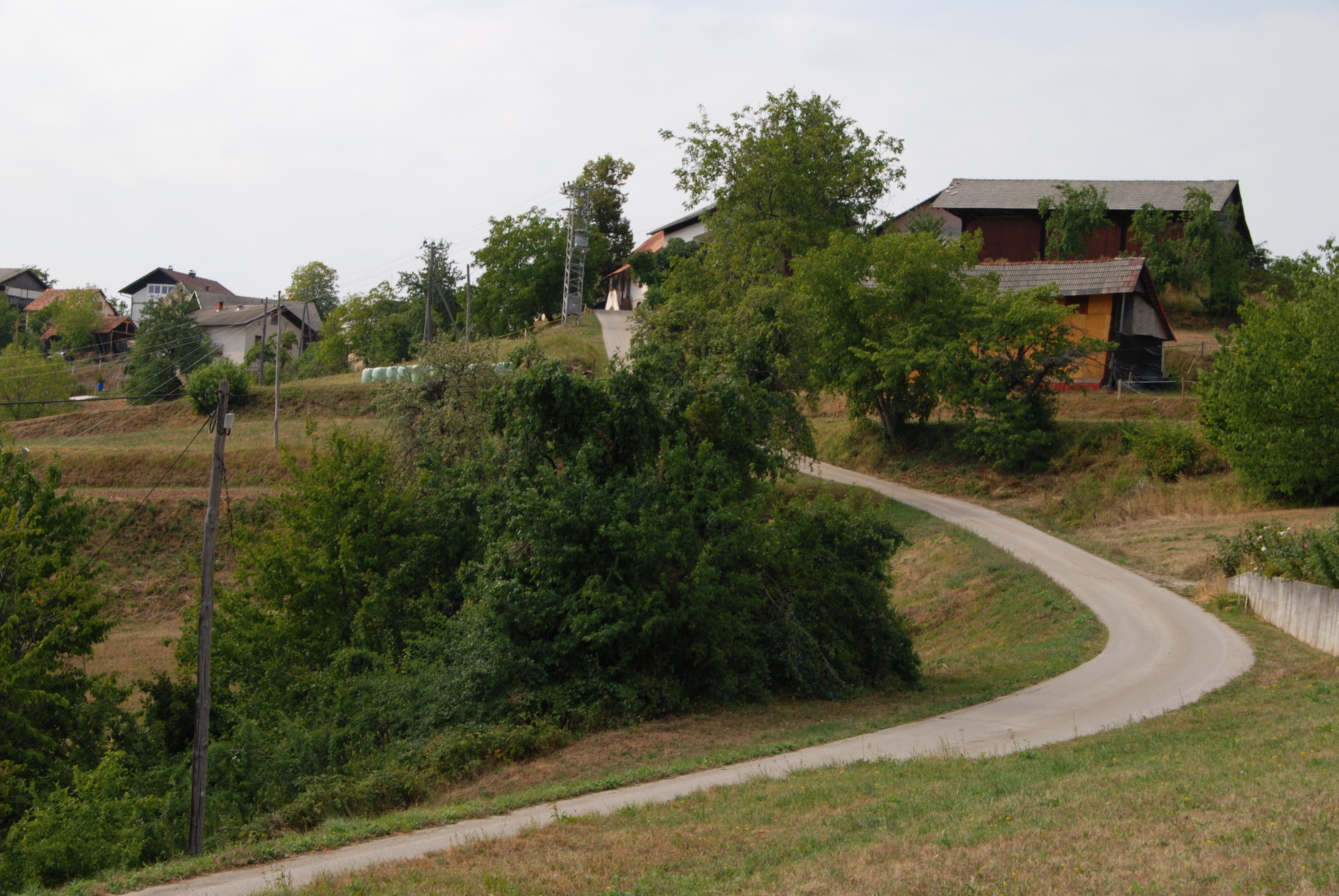 A country road winding through the green hills of Jeperjek